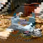 Nurin Ameera profile icon