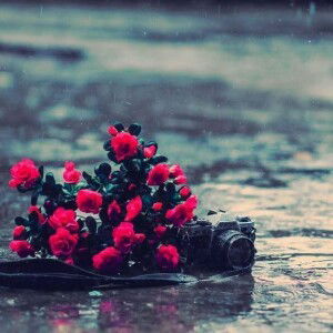 Aufi Naya profile icon