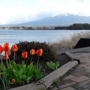 Mey Meyy profile icon