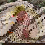 vũ thùy profile icon