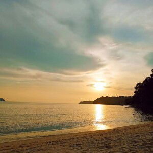 نور حكيمه محمد شكري profile icon