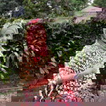 Irma Chofifah profile icon