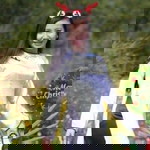 Diện Lê profile icon