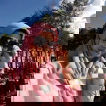 Asma Netti Netti profile icon