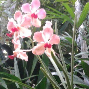 Feefa Feefa profile icon