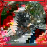 Princess Liora EvLya profile icon