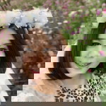 Warangthip Peem Peem profile icon