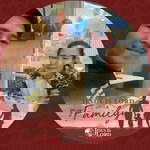 Winnie H H Yen profile icon