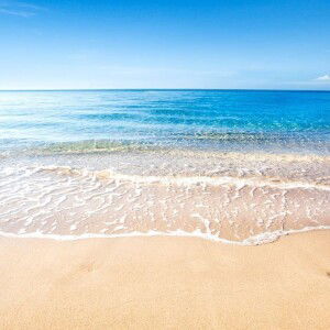 Liway Arguelles profile icon