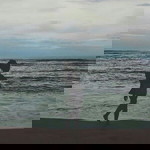 Gita Vee profile icon