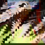 Som Sirirat profile icon