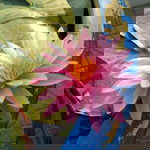 Toei Art profile icon