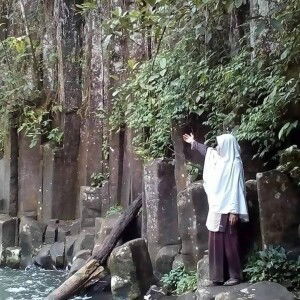 Molis Sayani profile icon