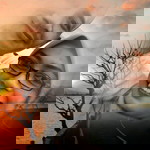 Qhalish Qhalisha profile icon