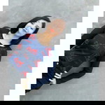 Windasari profile icon