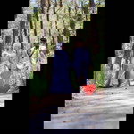 Luthfi Ifa N profile icon