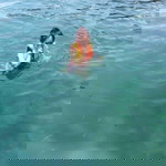 InAugust Kanasuk profile icon