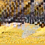 Fithra Taufika Infandari profile icon