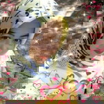 Evi Siti Hakim profile icon