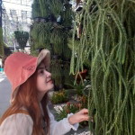 คิม อัน ยอง profile icon