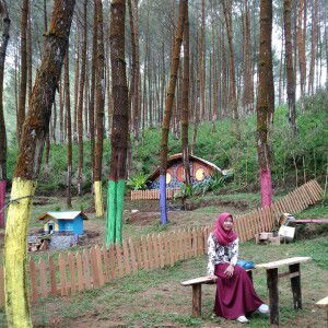 Nur Khasanah profile icon