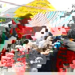 Mộc Miên profile icon