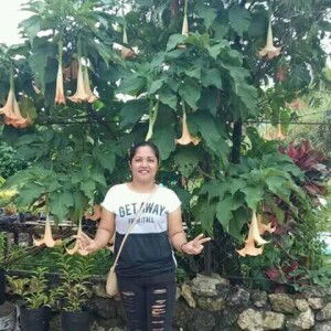 Mayann Alvizo profile icon