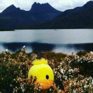 Jassica Chen profile icon