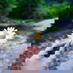 On Okay profile icon