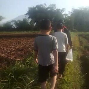 SetiaNingsih profile icon