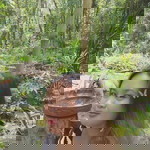 Milles Anallan profile icon