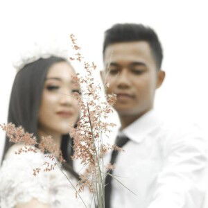 Ellaelo profile icon