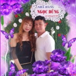 Tống Ngọc Ánh profile icon