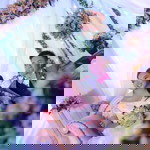 Rachelle Layag Pe profile icon