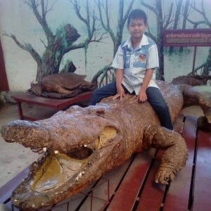 กีต้าร์ ไทยแลนด์ profile icon