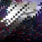 Hea Liaty profile icon