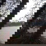 Boat Olie profile icon