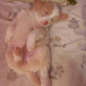 Cheyy Barbecho Clavero profile icon