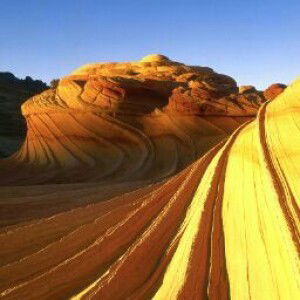 Minh NGUYEN profile icon