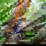 Salsabila Dwita profile icon