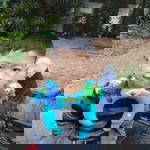 pornsawan profile icon