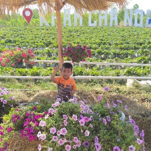 Noneeja Pachprai profile icon