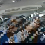 Anisa Hartomo profile icon