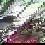 WindieLyn Vismanos Jumawan profile icon