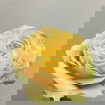 Ghella Rivera profile icon