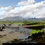 Jinky De Vera Hernandez profile icon