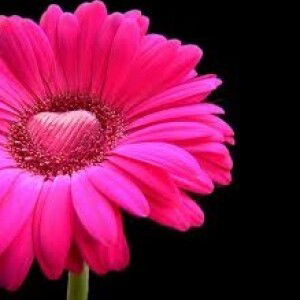 NurShahirah Shira profile icon