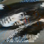 haromi Phampawwit profile icon