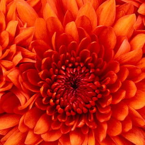 Doyan tidur profile icon