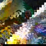 Rochie Samiana Tesoro profile icon